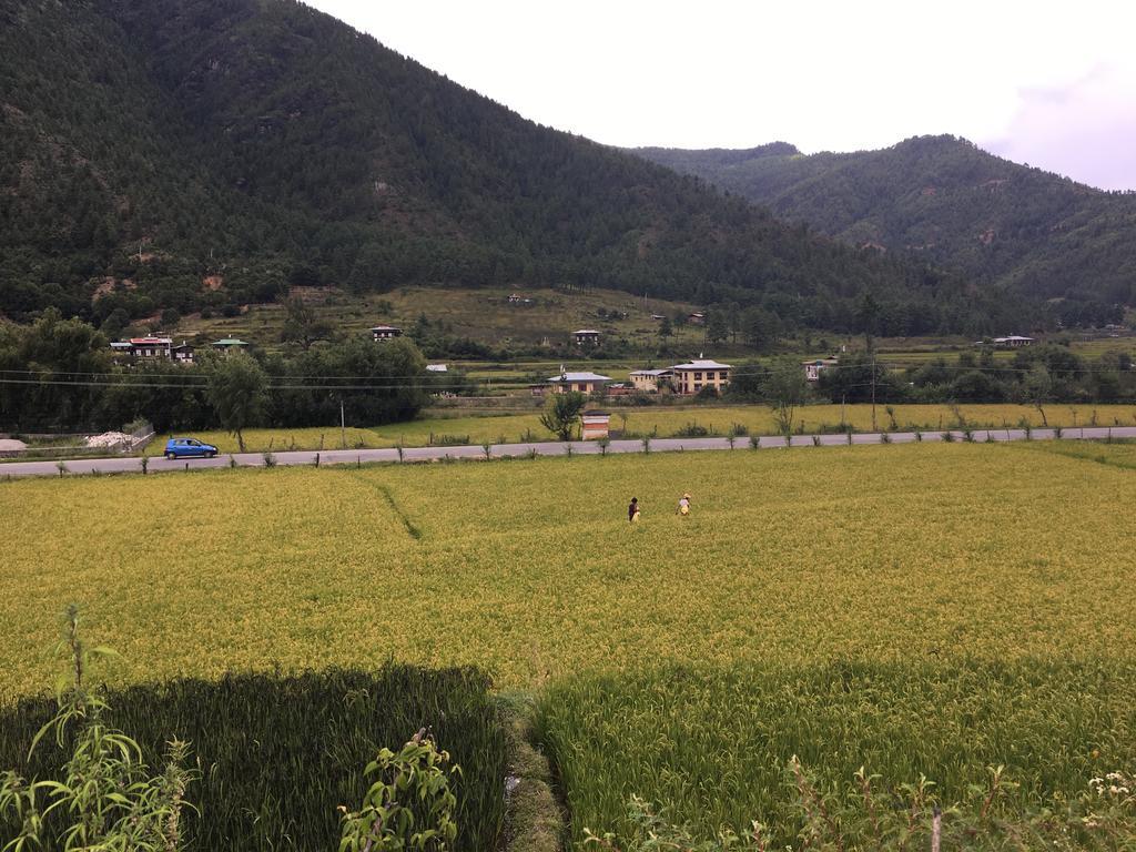 Ama's Village Lodge Paro Exteriör bild