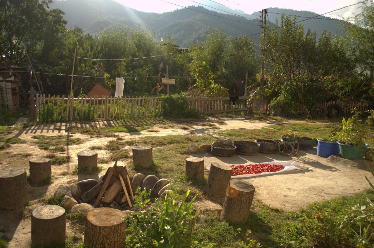 Ama's Village Lodge Paro Exteriör bild